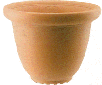 vasos-lisos